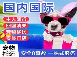 武汉天河机场货运国际宠物托运 【国